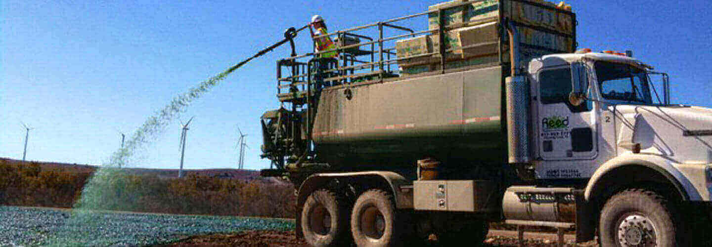 Reed Hydromulch Hydroseed Grass Hydromulch Hydroseed Grass Hydro