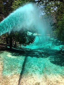 Hydroseeding in Oklahoma City, OK, can quickly lay down grass
